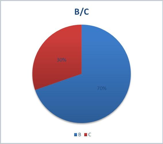 BC 买家占比, 类批发为主 di B,。 del 占比达到 70%