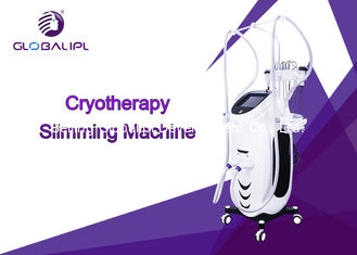 RF Fat Dissolving Cryolipolysis Machine 8.4 Inch Touch Screen Display CE Assured